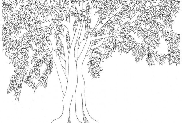 trees, Alessandra spada drawings, tree